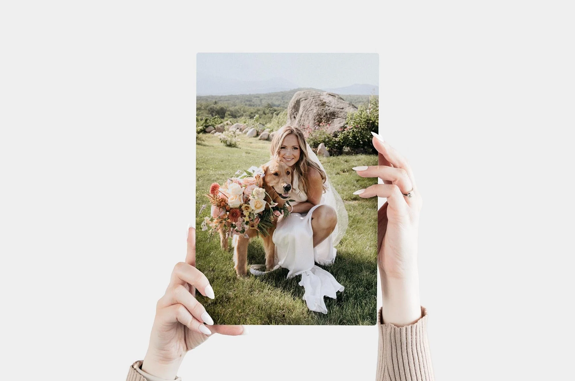 8x12 Metal Prints - Image 3