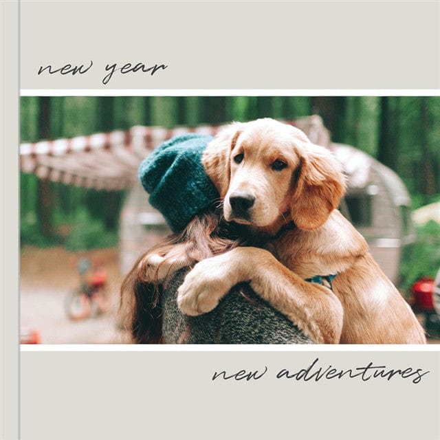 Year Of Adventure