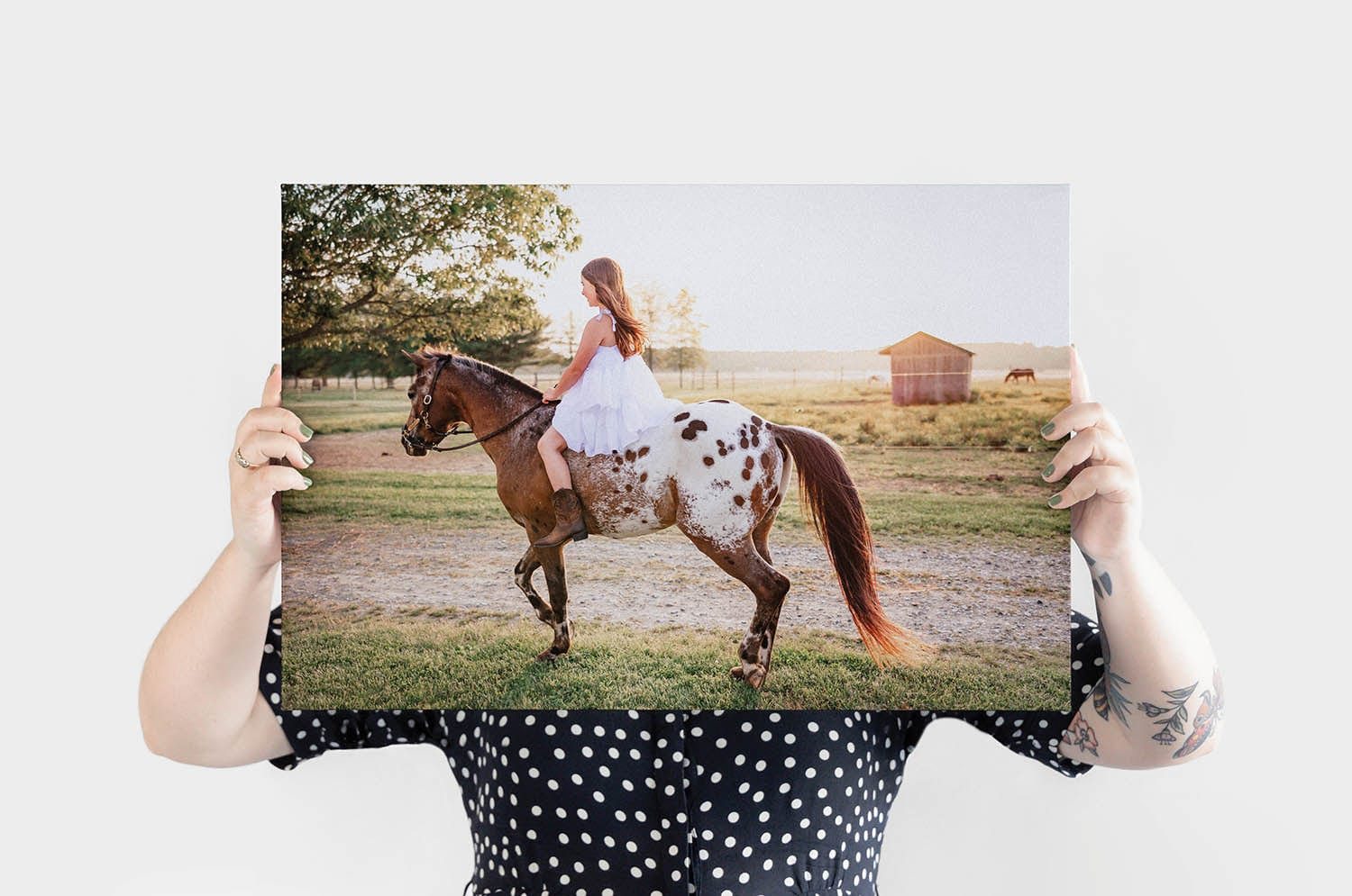 Classic Canvas Prints - Image 16