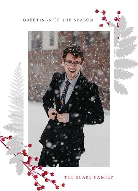 Merry Berries - Image 5
