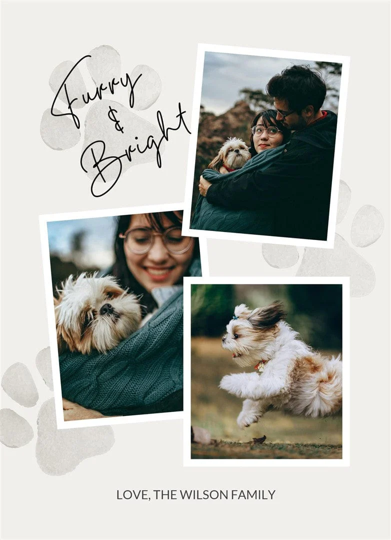 Snapshots of Love - Image 8
