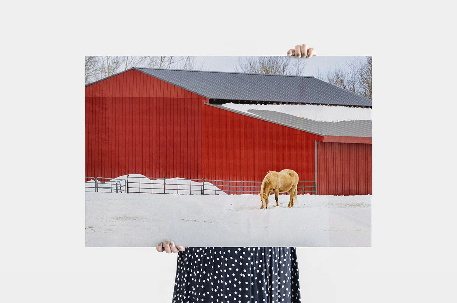 Premium Canvas Prints - Image 52