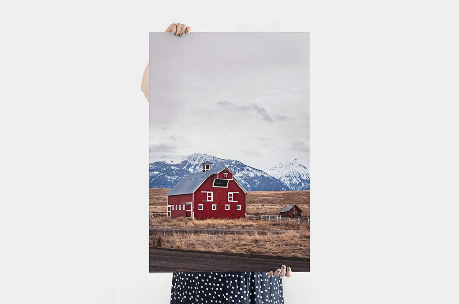 Premium Canvas Prints - Image 53