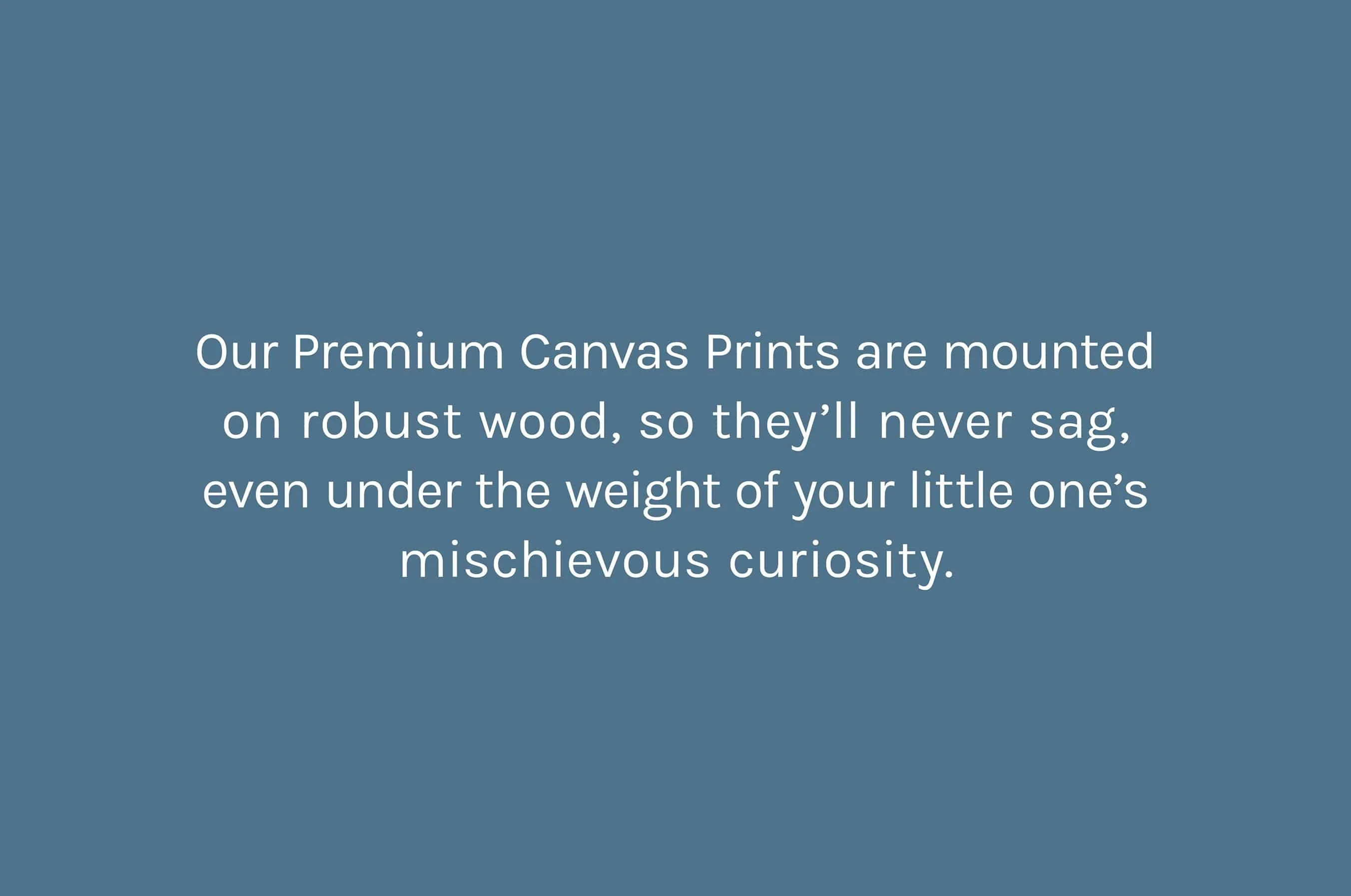 Premium Canvas Prints - Image 7