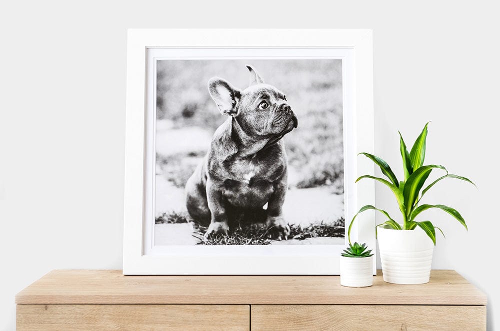 24x24" Prints - Image 2