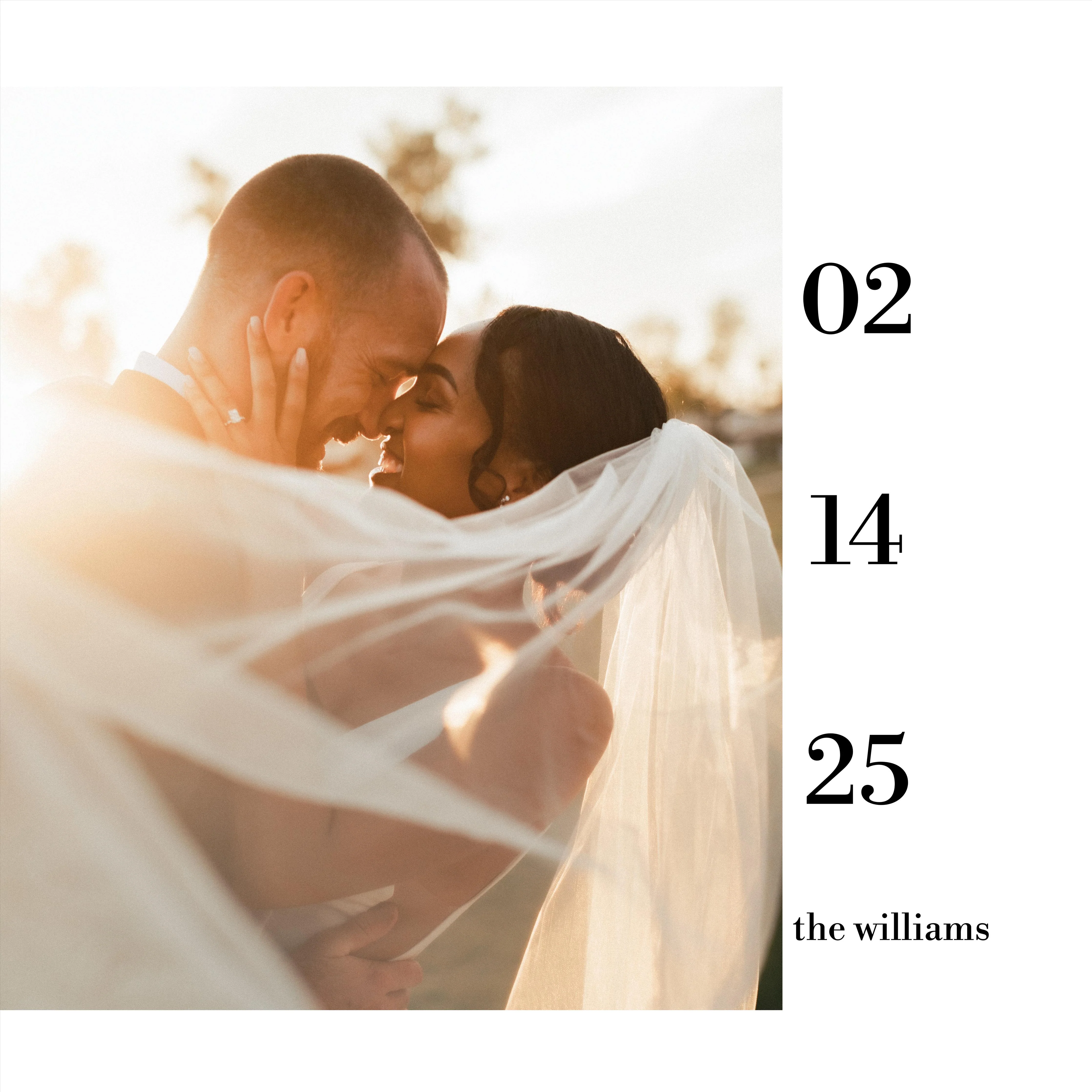 Love Established - Image 3