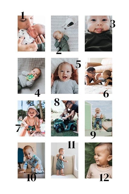 Top 12 - Image 2